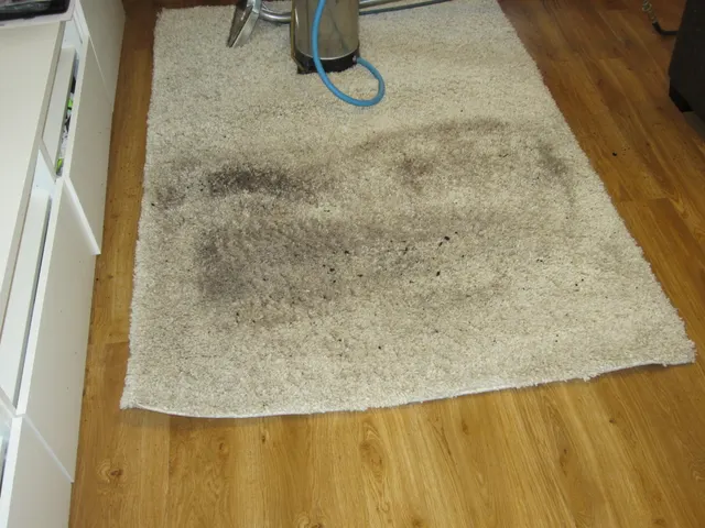 A cream rug before cleaning, heavily soiled across the middle