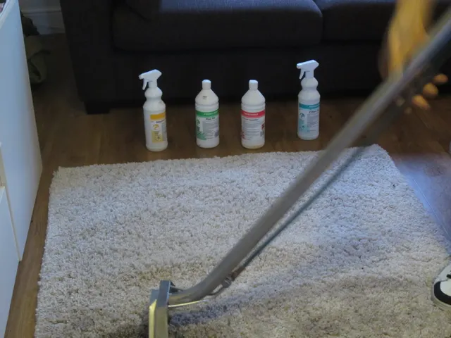 The wand on the rug, cleaning products lined up behind